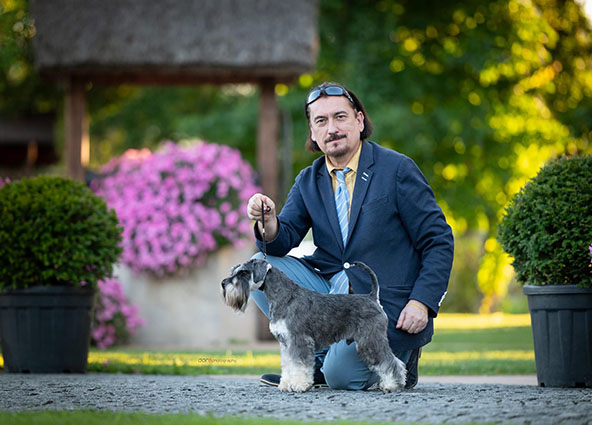Victory Super Man Cori Celesti Peppergabito: Peppersdegabritho - Zwergschnauzer / Miniature Schnauzer Victory Super Man Cori Celesti Peppergabito: Peppersdegabritho - Zwergschnauzer / Miniature Schnauzer