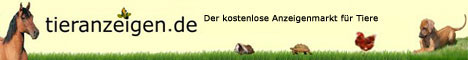 www.hundeszene.de
